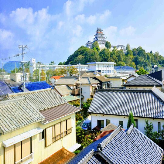 写真 (85)_R